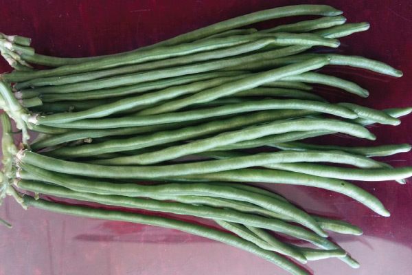 Cowpea Seeds