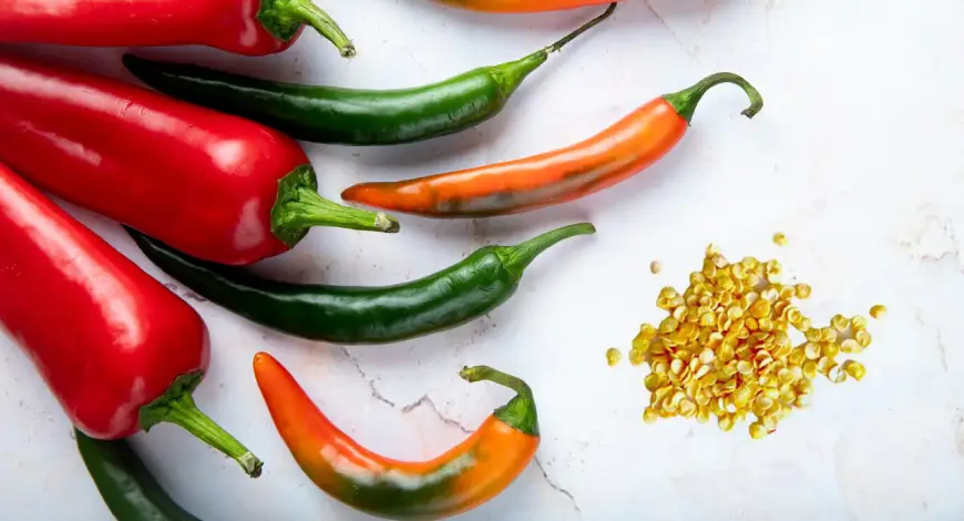 Boost Hybrid Chilli Farming