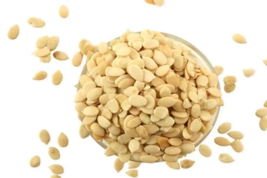 Hybrid Watermelon Cultivation