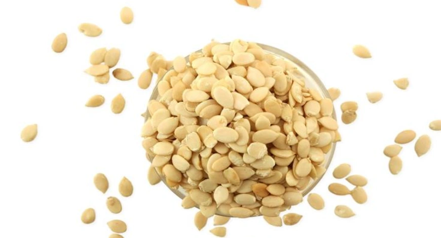 Hybrid Watermelon Cultivation