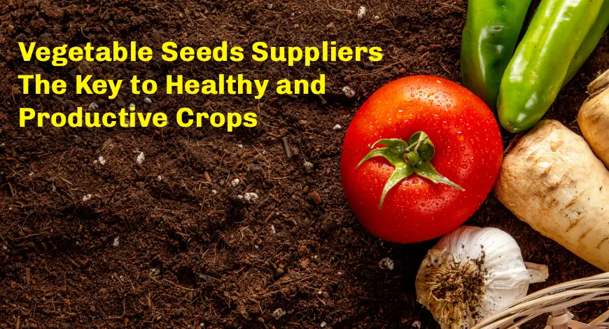 Vegetable Seeds Suppliers in India