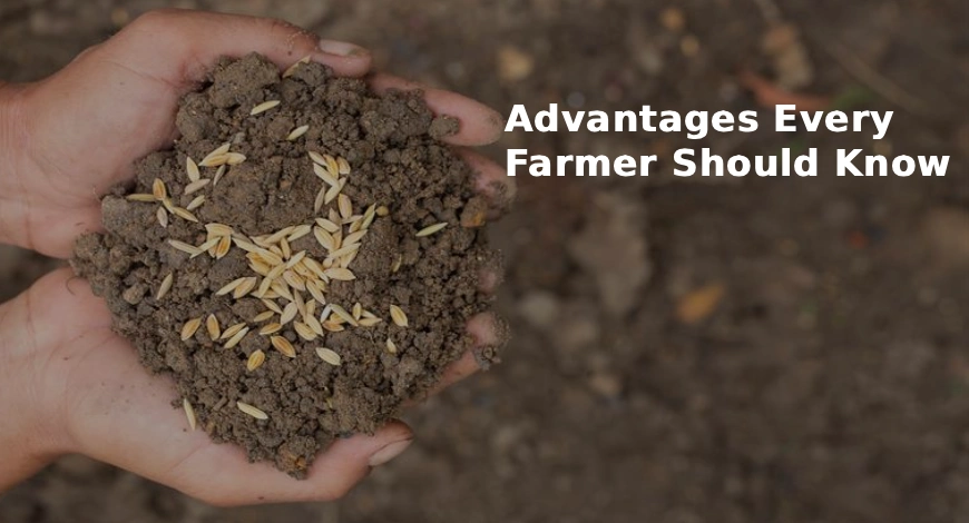 Hybrid Seeds in Indian Agriculture