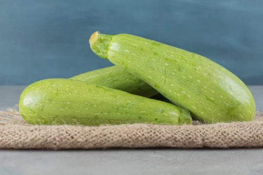 Best Time to Sow Bottle Gourd