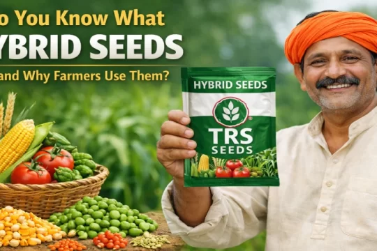 Hybrid Seeds in India