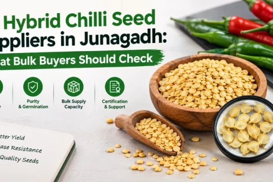 Hybrid Chilli Seed Suppliers in Junagadh