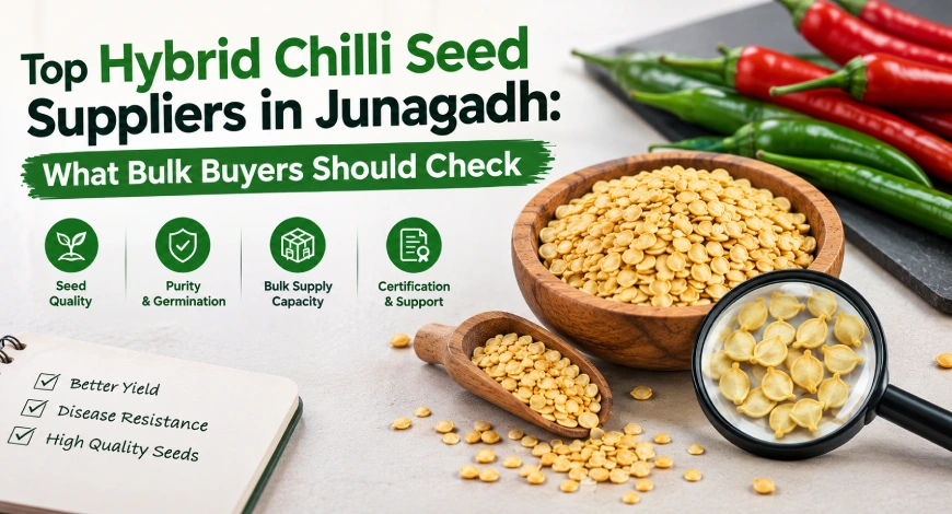 Hybrid Chilli Seed Suppliers in Junagadh
