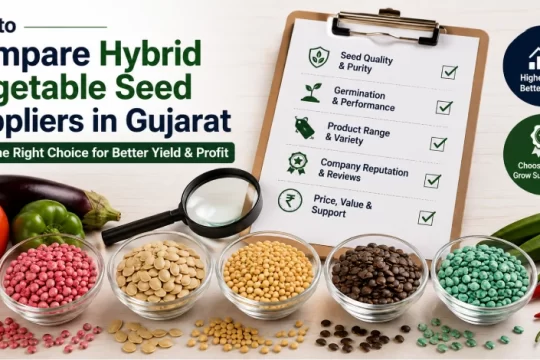 Hybrid Vegetable Seed Suppliers Gujarat