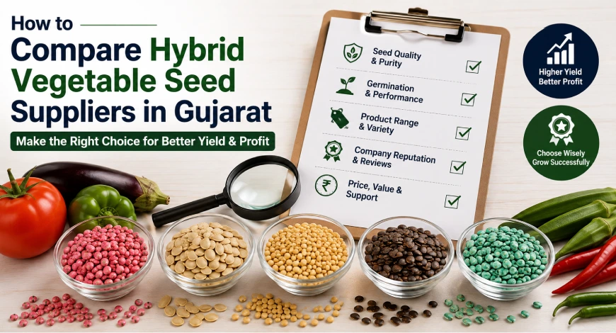 Hybrid Vegetable Seed Suppliers Gujarat