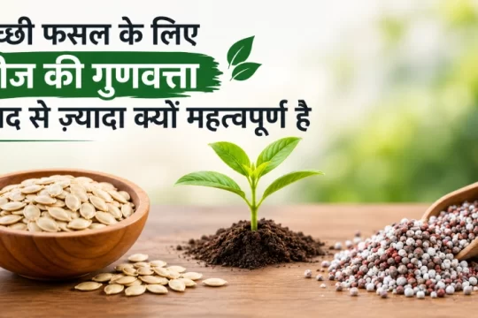 अच्छी फसल के लिए अच्छे बीज