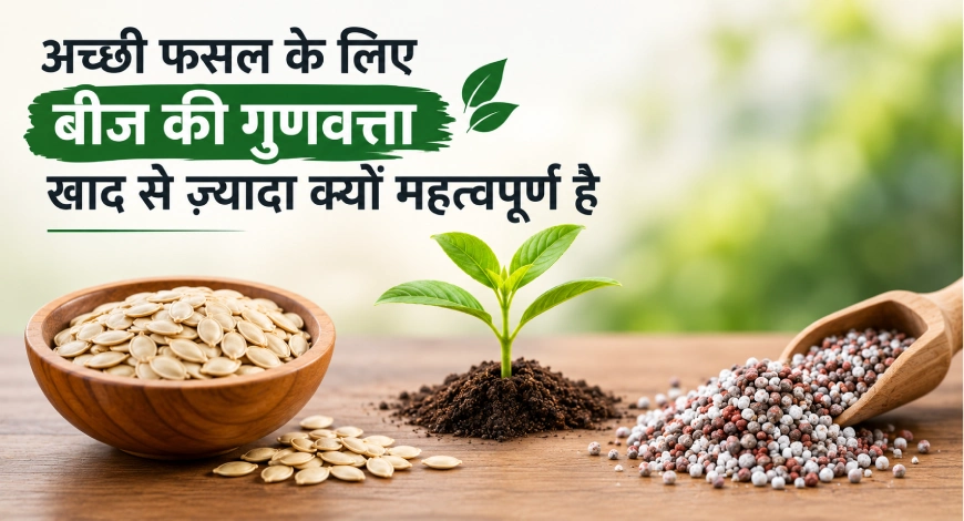 अच्छी फसल के लिए अच्छे बीज